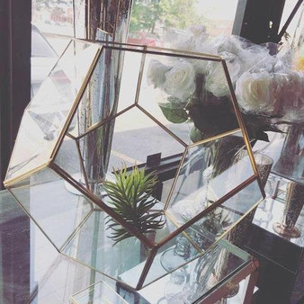 Hexagon Terrarium