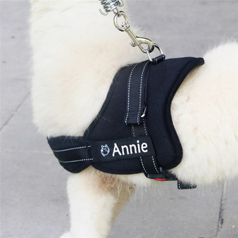 Personalized Dog Name + phone number tag Harness