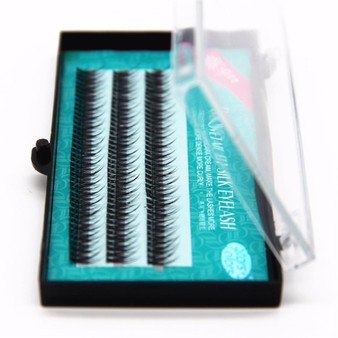 Dovetail Silk Eyelash Individual Lashes extensions