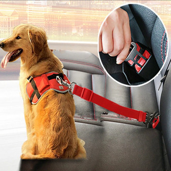 Paw Safe Seatbelt