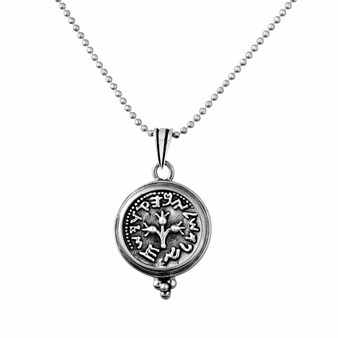 Sterling Silver Shekel Pendant In Gold Frame