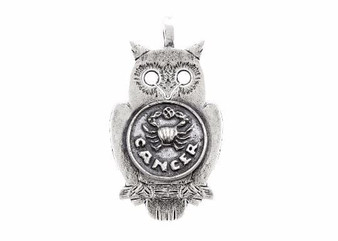 Medallion necklace with the Cancer medallion of The Zodiac horoscope jewelry zodiac jewelry handmade one of akine piece ahuva coin jewelry