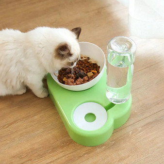 Dual Use New Pet Bowls & Drinking Dish Feeder