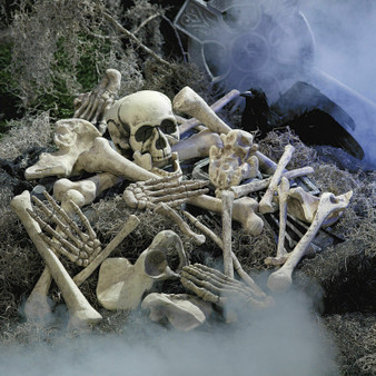 28 pieces Halloween Prop Skeleton Skull Haunted House Horror Prop Party Decorations