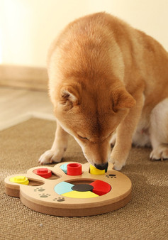 Slow Dispensing Interactive Dog Puzzle Feeder Toys to Increase IQ