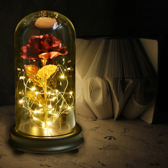 Beauty and Beast  Eternal Rose in Glass with LED Night lights for Valentine's Day Gift