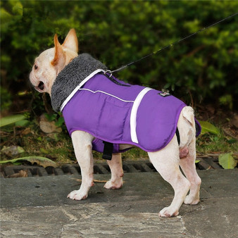 CUTE Winter Waterproof Jacket for Pet Dogs