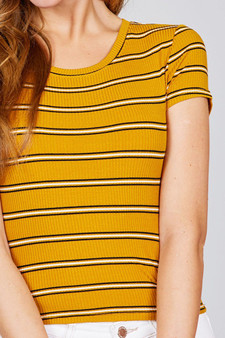 Short Sleeve Round Neck Multi Stripe Rib Knit Top