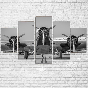 Face to Face to 3 Engine Old Airplane Printed Multiple Canvas Poster