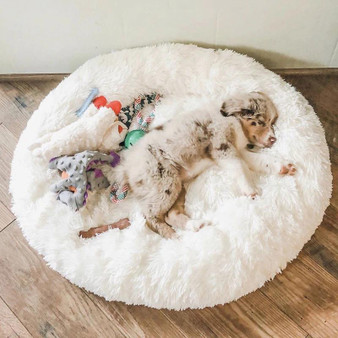 Calming Pet Bed