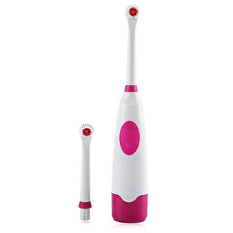 Electric Tooth Brush Dental Care Revolving Electric Toothbrush with Replacement Brush Head Oral Hygiene Teeth Clean Tool