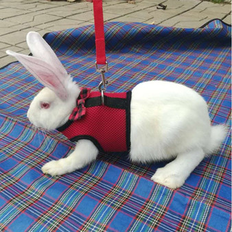 Rabbit Leash and Harness for Small Pets, Cats, Guinea Pigs