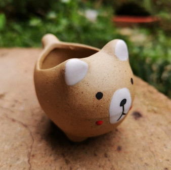 Cutie Pot Planter