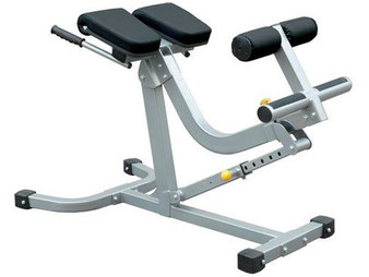Champion Barbell&#174; Back/Abdominal Exercise Bench