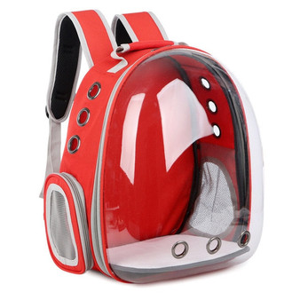 "The Tourist Cat" Transparent Cats Travel Backpacks