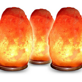 Himalayan Salt Lamps - 11-15 Pound Lamps