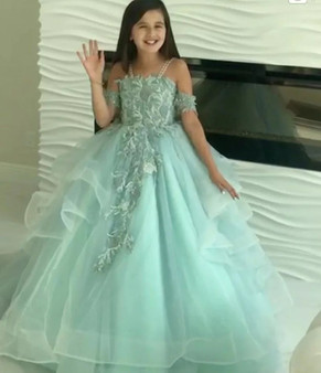 Tulle Embroidered Princess Dress