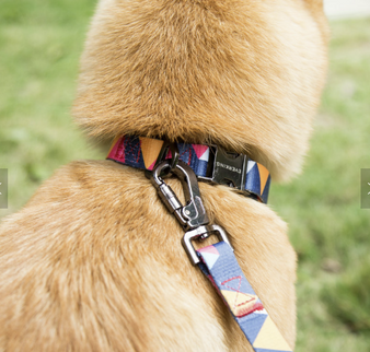 Fire & Ice Geometric Dog Leash