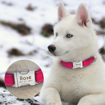 Personalized Pet Collar Reflective