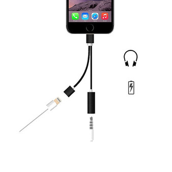 2 in 1 Earphone & Lightning Adapter for iPhone-