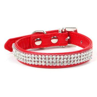 Small Dog Collar