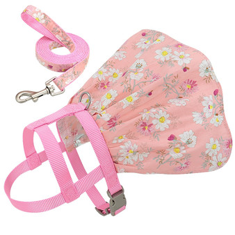 Small  Dog Leash and Harness Set