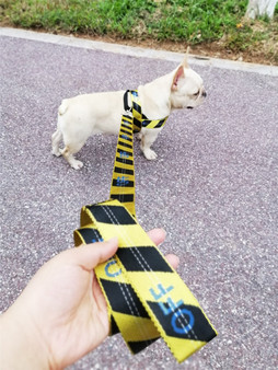 BODYGUARD | DOG NYLON LEASH