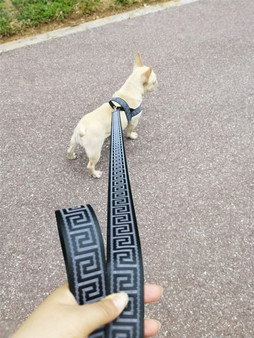 CLEOPATRA | DOG NYLON LEASH