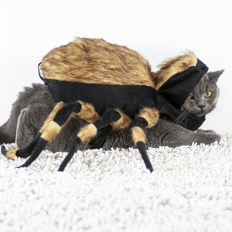 Pet Halloween Cosplay Costume Realistic Spider Puppy Cat Clothing Funny Party Festival Clothes For Small-Medium Dogs Cat