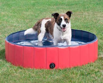 Puppy Pool - The Portable Pet Pool