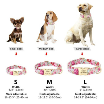 Dog Collar with Personalized Engraved Name Tag