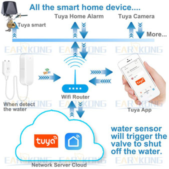 WiFi smart Water Leakage Sensor