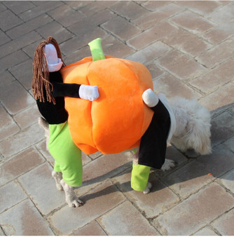 Pet Pumpkin on the Back Halloween Costume