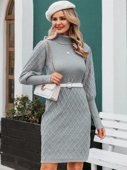 Turtle Neck Gigot Sleeve Bodycon Sweater Dress