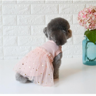 Dog Pink White Lace Dresses Princess
