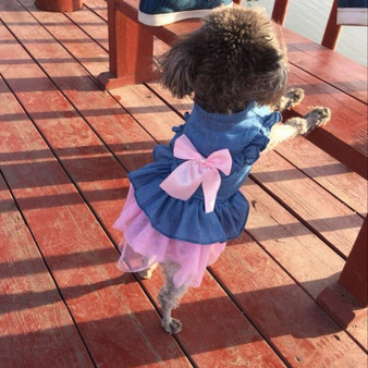 Dog Princess Dress Skirt