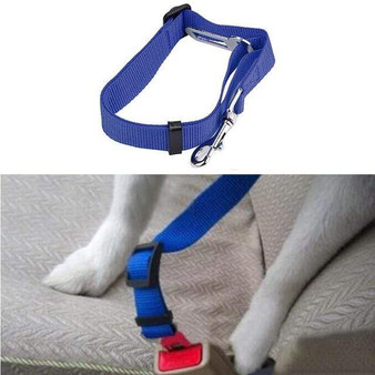 Dog Collar And Seat Belt