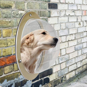 Pet Dog Fence Window