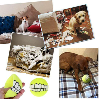 Chewy™ Dog Toy Ball With Teeth