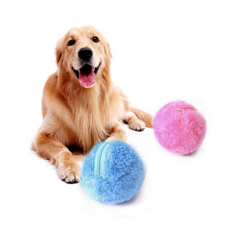 Self Rolling Activity Ball for Dogs