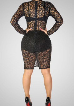 Casual Black Floral Print Sequin Grenadine See-through Round Neck Clubwear Mini Dress