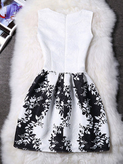 Casual Modern Black White Round Neck Printed Skater Dress