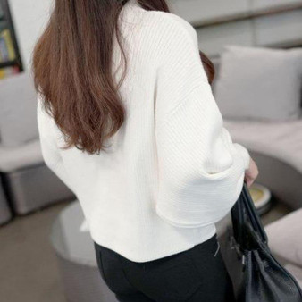 Turtleneck Batwing Sleeve Pullovers Loose Knitted Sweater Top