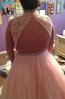 Pink A Line Floor Length Sleeveless High Neck Tulle Appliques Plus Size Prom Dresses S15