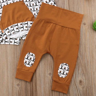 Baby Bear Hoodie Sweater & Pants