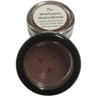 Modelsupplies Model's Minerals Plum Blush Rouge Makeup NIP