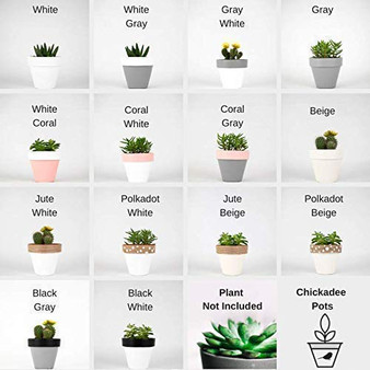 Personalized Indoor Plant Pot