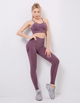 Seamless Yoga Set Women Dry Fit Two 2 Piece Tight Crop top Bra Vest Legging Sportsuit Workout Outfit Fitness Gym Sets Clothes