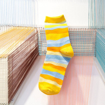 Men's Wavy Stripe Novelty Socks - 5 pair