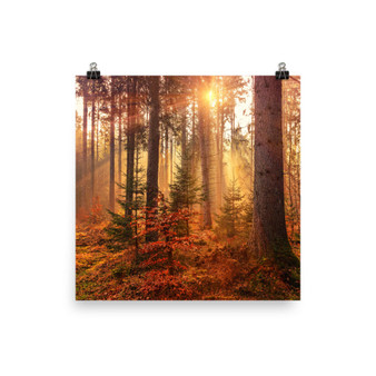 Forest Canvas Poster